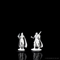 D&D Nolzur's Marvelous Miniatures - Human Ranger & Moon Elf Sorcerer