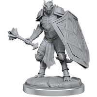 D&D Nolzur's Marvelous Miniatures: Dragonborn Clerics