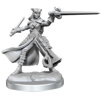 D&D Frameworks: Tiefling Rogue Female - Unpainted and Unassembled