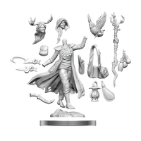 D&D Frameworks: Human Druid Female - Unpainted and Unassembled