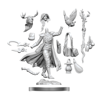 D&D Frameworks: Human Druid Female - Unpainted and Unassembled - 1