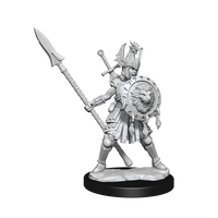 D&D Frameworks: Human Fighter Female - Unpainted and Unassembled