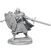 D&D Frameworks: Human Fighter Male - Unpainted and Unassembled