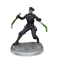 D&D Frameworks: Human Rogue Female - Unpainted and Unassembled