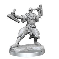 D&D Frameworks: Human Monk Male - Unpainted and Unassembled