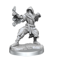 D&D Frameworks: Human Monk Male - Unpainted and Unassembled