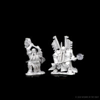 BACK-ORDER - D&D Nolzur's Marvelous Miniatures: Dwarf Male Paladin