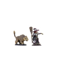WizKids Wardlings Painted RPG Figures: Girl Witch & Witch's Cat