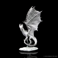 D&D Nolzur's Marvelous Miniatures: Young Silver Dragon